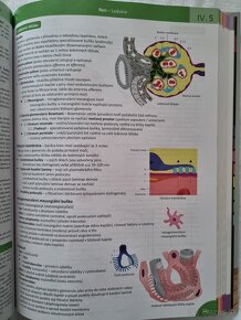 Memorix Histologie (3. vydanie) - 2