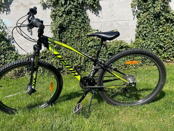 Dema Rockie 26” - 2