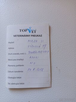 Nemeckí ovčiak - 2