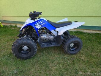 Yamaha Raptor YFM 90 2013 - 2