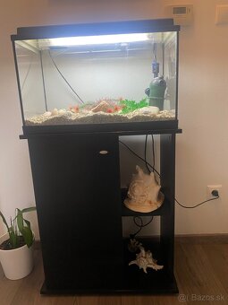 Akvarium - 2