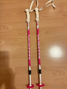 Lyžiarske palice - 2