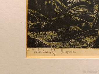 Obraz Tatranský horec 1971, 44x103 - 2