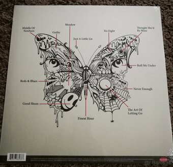 Vinyl Stone Temple Pilots - 2