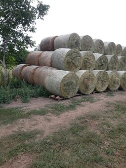 Balíky guľaté - lucerka - 2