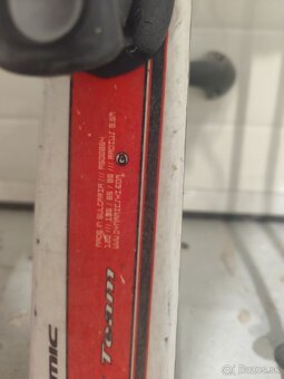 Lyžiarky a lyže - 2