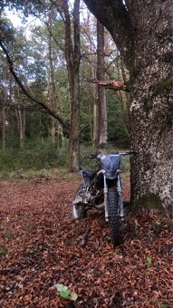 Derbi senda 50ccm - 2