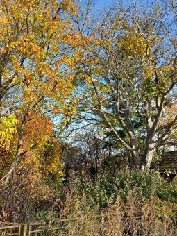 Veľký pozemok cca 3500m2 - 2