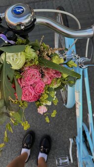 Bicykel primavera - 2