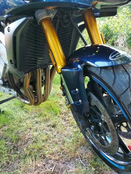 Yamahafz1-s 2009 - 2