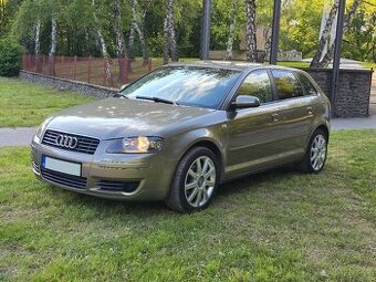 Audi A3 8P 1.9TDI 77KW BXE bez DPF - 2