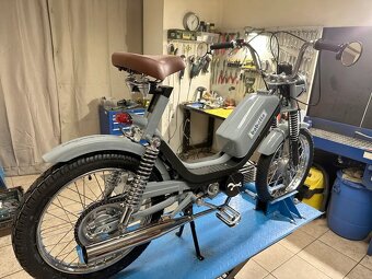 Babetta 210 Cafe - 2