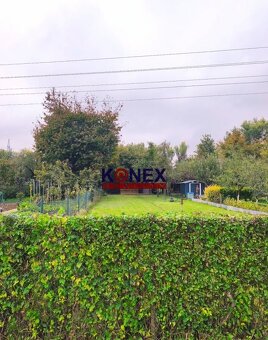 Rekreačná záhrada s drevenou chatkou - MICHALOVCE - 2