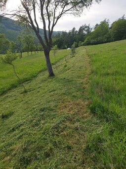 Na predaj rekreačný pozemok - 2