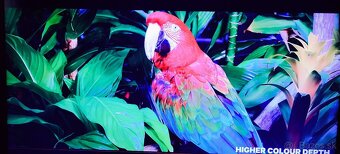 LG  Smart 75UM7600PLB - 2