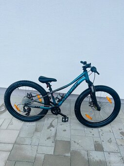 SPECIALIZED HotROCK RIPRock 24 - 2