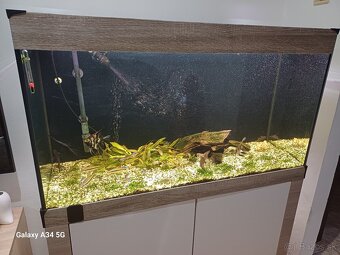Akvarium - 2