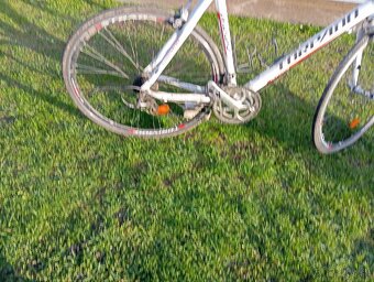 Cestný bicykel - 2