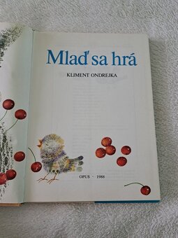 Mlaď sa hrá - 2