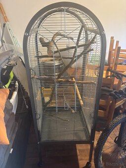 Klietka omega round 1 - 2