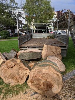 Starostlivosť o zeleň, kosenie,výrub stromov, pilčícke práce - 2