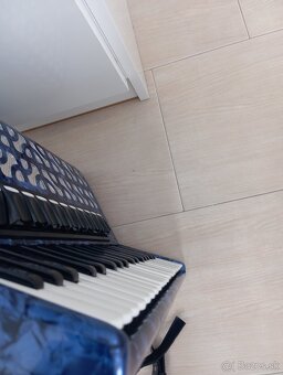 Akordeon delicia - 2