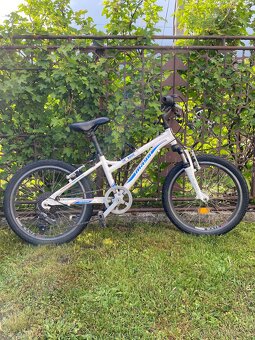 Detský 20” bicykel-mayo - 2
