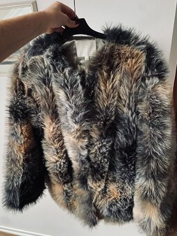 Strakatý kožuch - 2