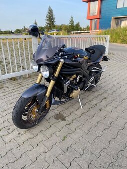 Triumph Speed Triple 1050 - 2