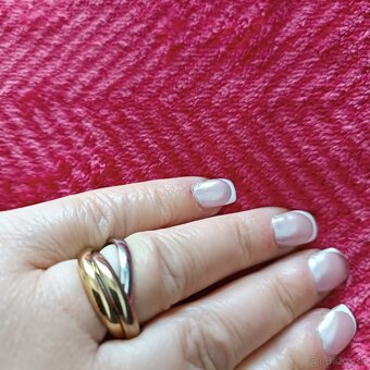 Oceľový prsteň - 2