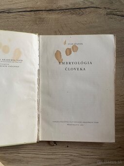 Embryológia človeka - 2