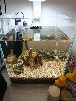 Aqvarium - 2