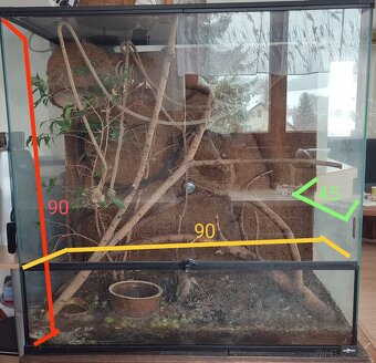 Terarium - 2