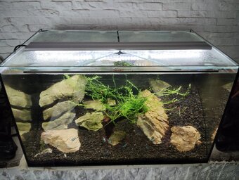 Akvarium 50L - 2