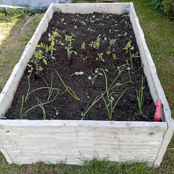 Betónový záhon - 2