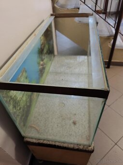 Akvárium použiteľné uz iba ako terarium - 2