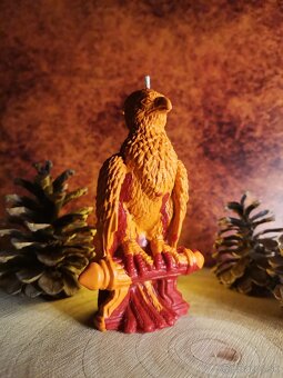 Fénixova sviečka, Harry Potter. Nova - 2