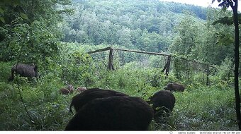 Fotopasca HC900M, GSM, MMS, EMAIL + KARTA 32GB - 2