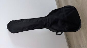 Gitara Romanza R-C391 - 2