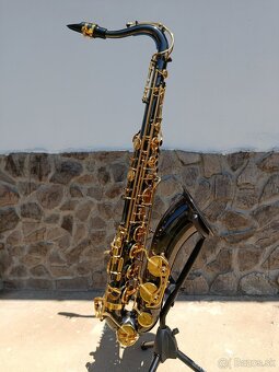 Tenor Saxofón + príslušenstvo - 2