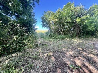 Na predaj: Pozemok na samote u Rehušov pri Prietrži – 2... - 2