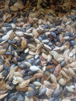 Tekvicové jadierka - 2