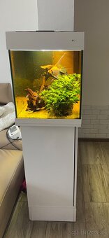 Akvarium Juwel 180l - 2