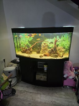 Predám akvárium JUWEL 240l - 2