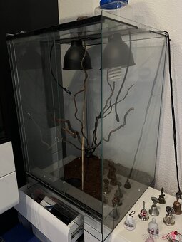 Terárium - 2