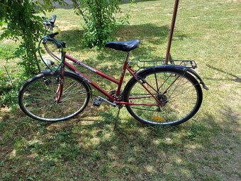 Predam damsky bicykel - 2