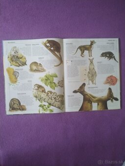 Kniha Obrazova encyklopedia zvieraa - 2