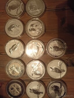 Predam investicne striebro kg - 2