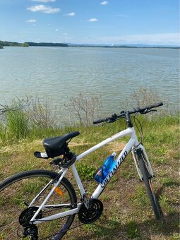 Predám bicykel Specialized - 2