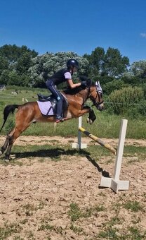 Sportovy pony - 2